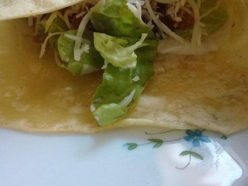 Cliquez pour zoomer ! Tortillas de blé Thermomix par Sabine 31