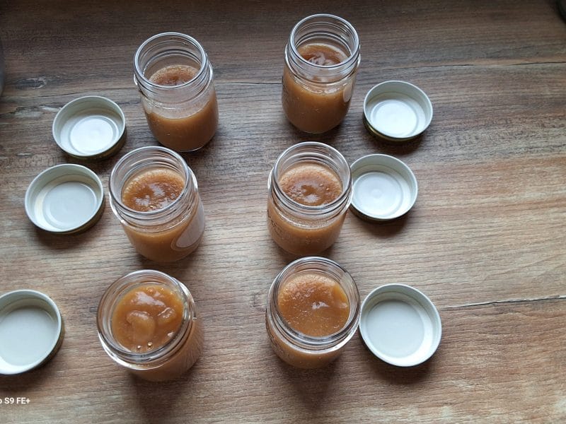 Cliquez pour zoomer ! Compote pomme rhubarbe à la vanille Thermomix par muriel_202