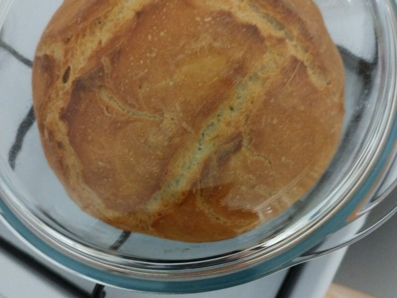 Cliquez pour zoomer ! Pain Cocotte Thermomix par GuyzmoPoopy