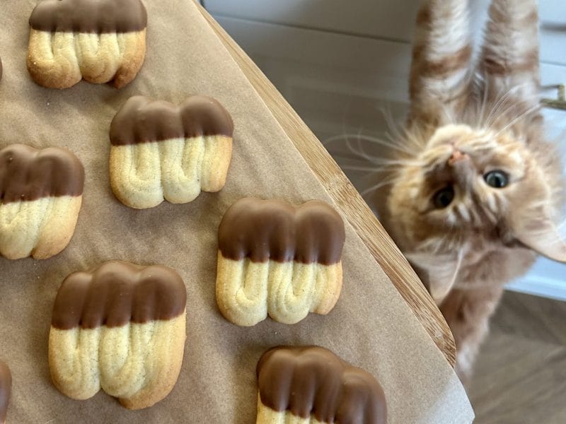 Cliquez pour zoomer ! Spritz Thermomix par estelle_466