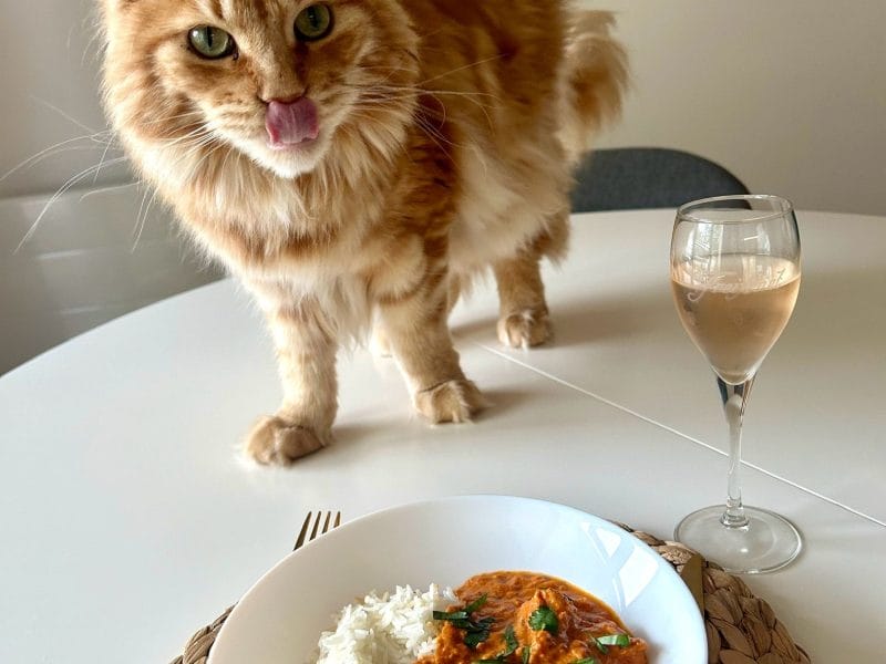 Cliquez pour zoomer ! Butter Chicken Thermomix par estelle_466