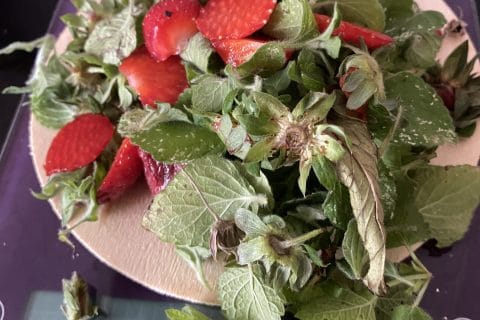 Cliquez pour zoomer ! Sirop de queues de fraises Thermomix par sovive