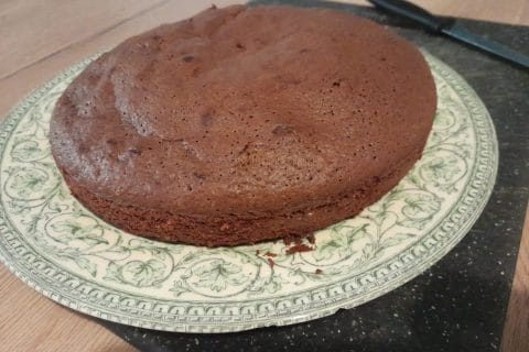 Cliquez pour zoomer ! Gâteau chocolat noix de coco Thermomix par kade26