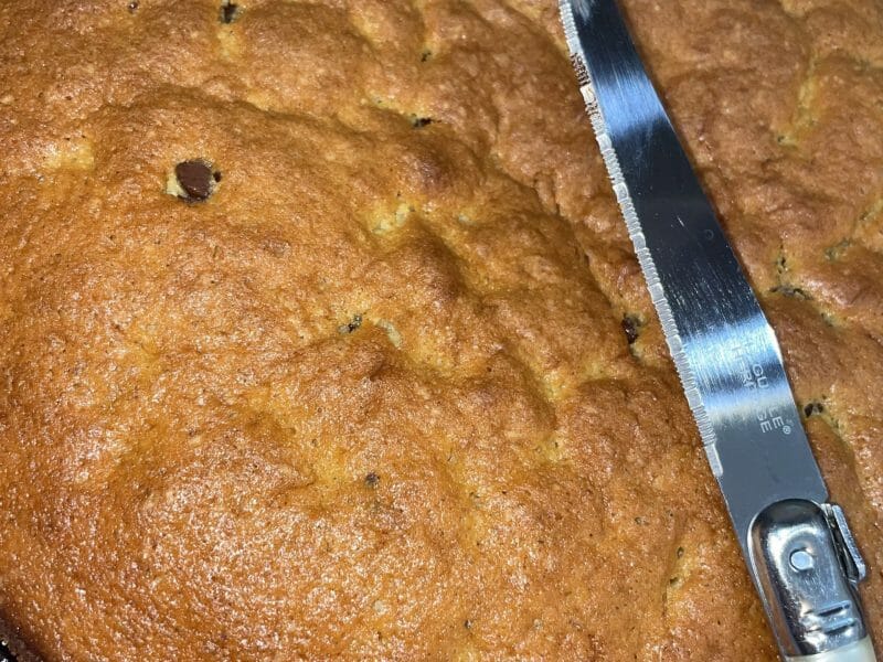 Cliquez pour zoomer ! Gâteau au yaourt Thermomix par Mamz’elle’C