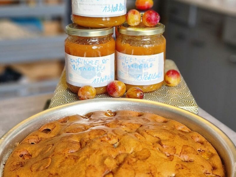 Cliquez pour zoomer ! Confiture de mirabelles Thermomix par SabouH. insta: sabouh23