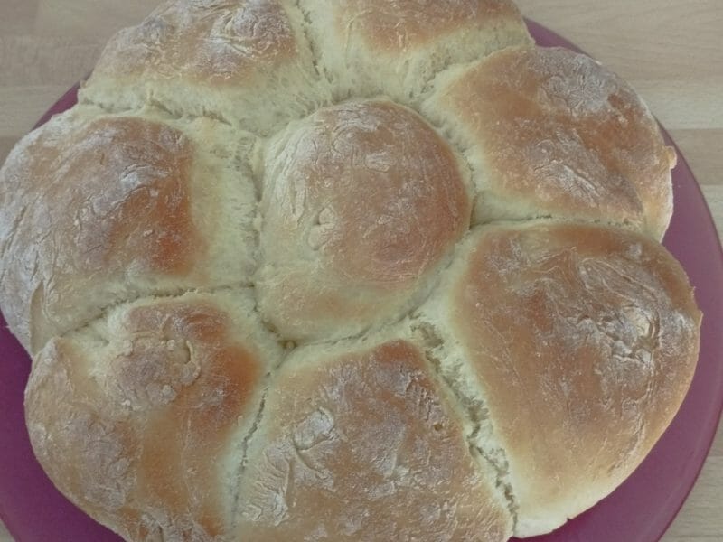 Cliquez pour zoomer ! Brioche Buchty Thermomix par julien_515