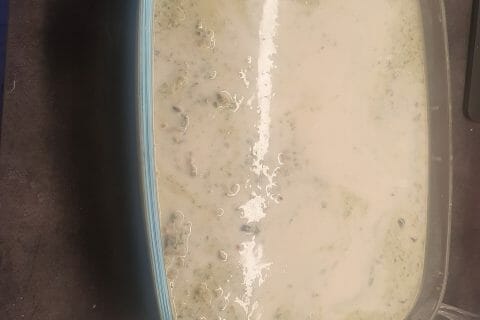 Cliquez pour zoomer ! Lasagnes aux fruits de mer Thermomix par cocopop555