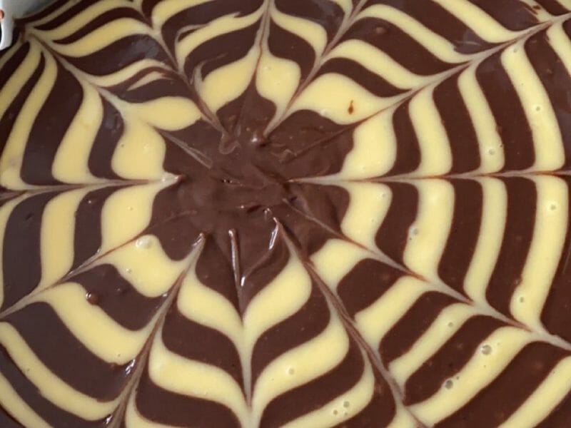 Cliquez pour zoomer ! Gâteau zébré Thermomix par Laurielle