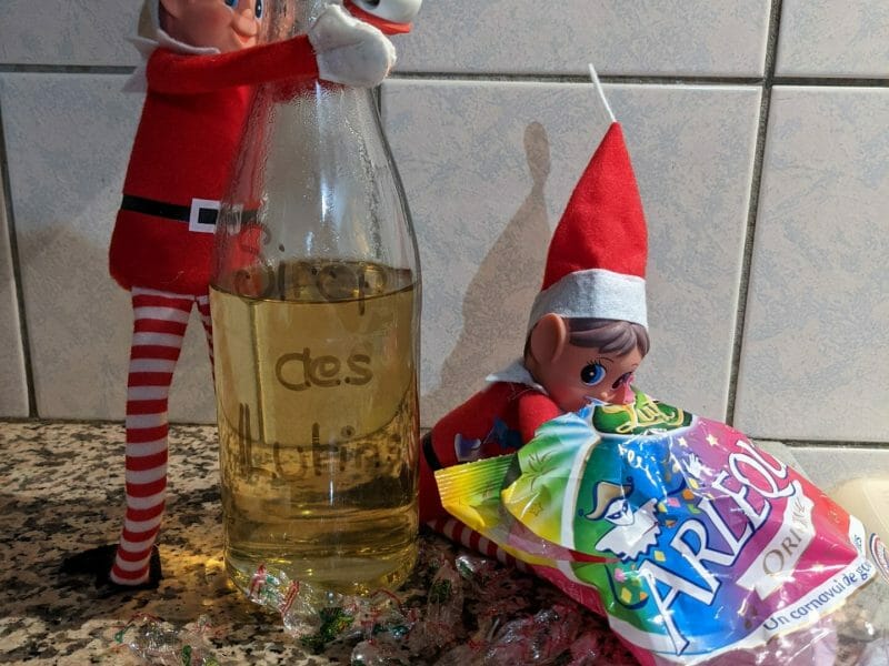 Cliquez pour zoomer ! Sirop d’Arlequin Thermomix par chatmallow