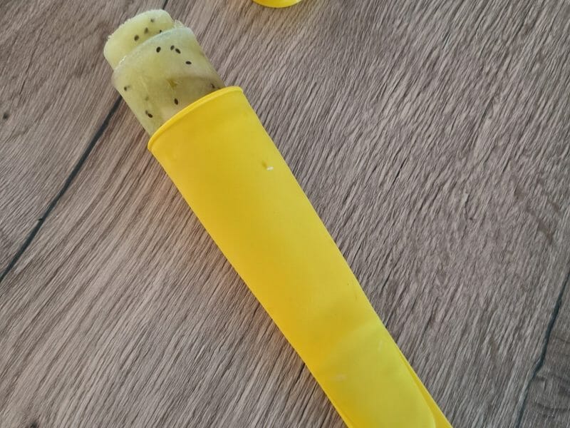 Cliquez pour zoomer ! Glace kiwi banane Thermomix par jujutony