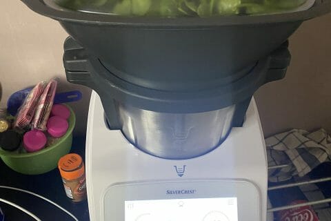 Cliquez pour zoomer ! Koulibiac de saumon Thermomix par gen_4