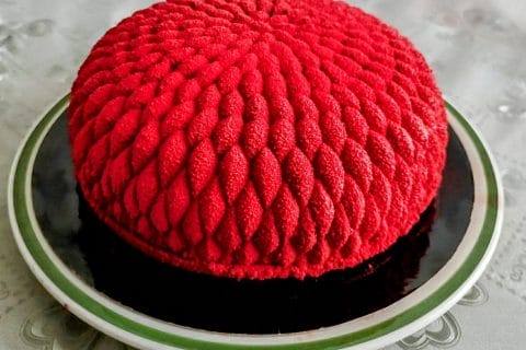 Cliquez pour zoomer ! Bavarois aux framboises Thermomix par L'Alsacienne