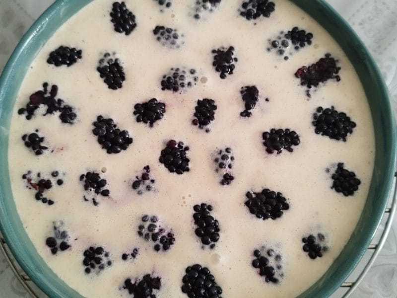 Cliquez pour zoomer ! Clafoutis aux mûres sauvages Thermomix par L'Alsacienne