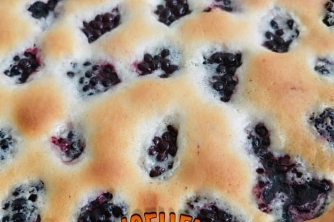 Cliquez pour zoomer ! Clafoutis aux mûres sauvages Thermomix par L'Alsacienne