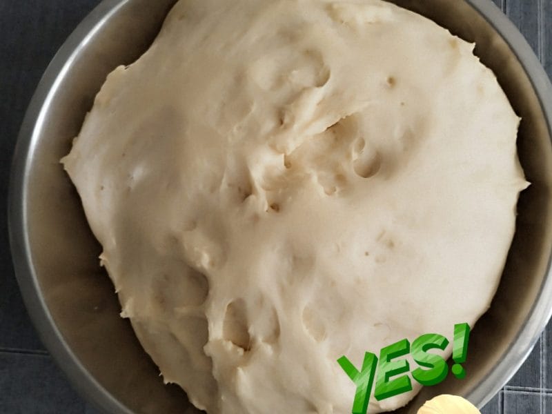 Cliquez pour zoomer ! Gaufres Liégeoises Thermomix par L'Alsacienne