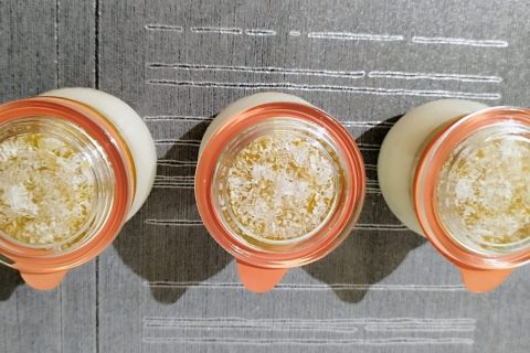 Cliquez pour zoomer ! Panna cotta coco mangue Thermomix par L'Alsacienne