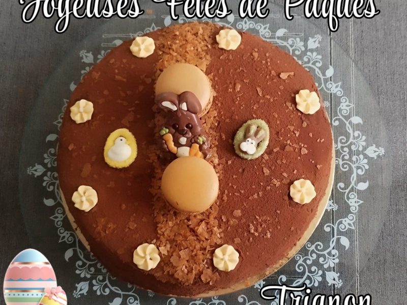 Cliquez pour zoomer ! Trianon Thermomix par L'Alsacienne