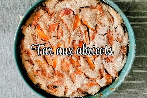 Cliquez pour zoomer ! Far aux abricots Thermomix par L'Alsacienne