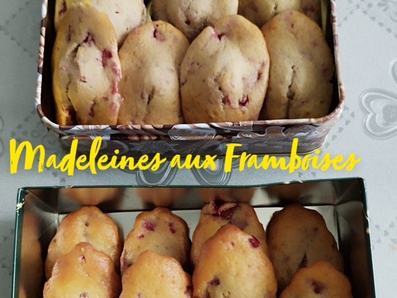 Cliquez pour zoomer ! Madeleines aux biscuits roses de Reims Thermomix par L'Alsacienne