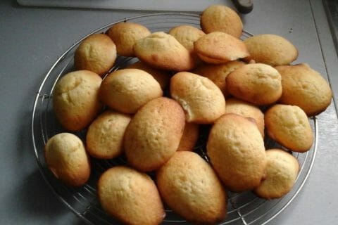 Photos des recettes