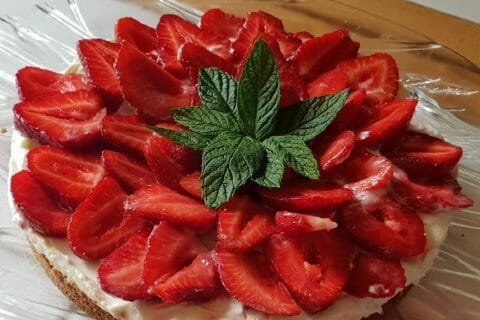 Photos des recettes