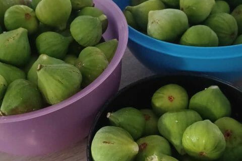 Cliquez pour zoomer ! Photo de mathildou60