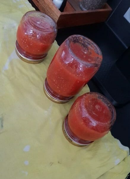 Cliquez pour zoomer ! Coulis de tomates Thermomix par Cindy041192