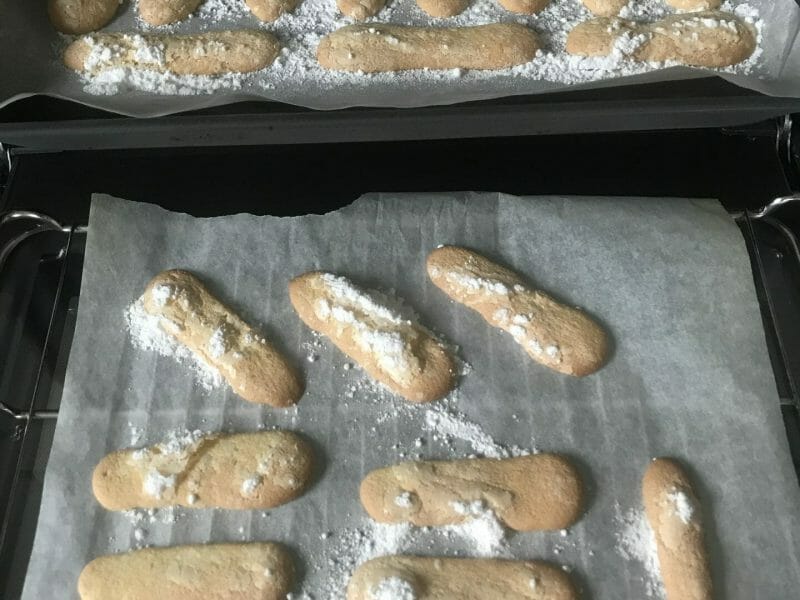 Cliquez pour zoomer ! Biscuits à la cuillère Thermomix par Aysel 38160