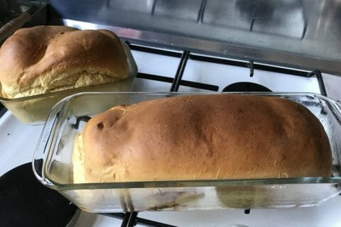 Photos des recettes