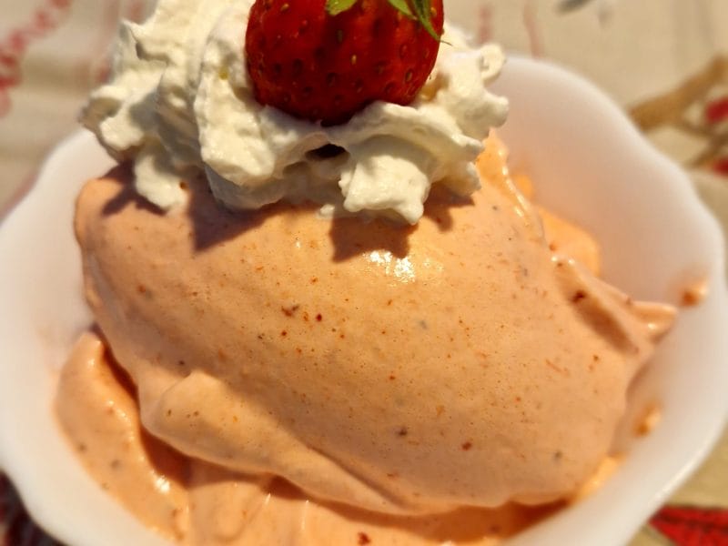 Cliquez pour zoomer ! Sorbet aux fruits rouges Thermomix par naturailes