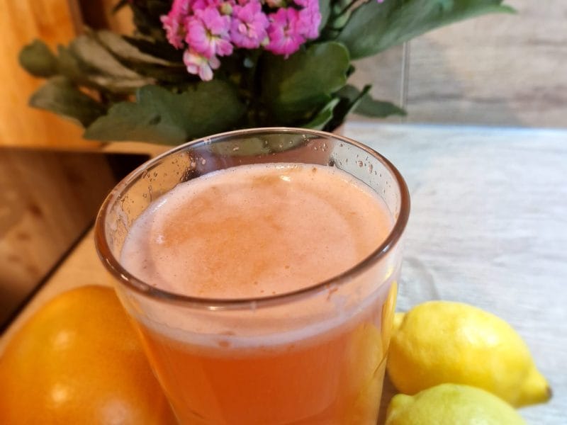Cliquez pour zoomer ! Jus de fruits ACE Thermomix par naturailes