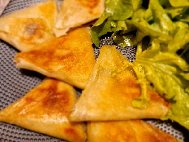 Cliquez pour zoomer ! Bricks au thon Thermomix par naturailes