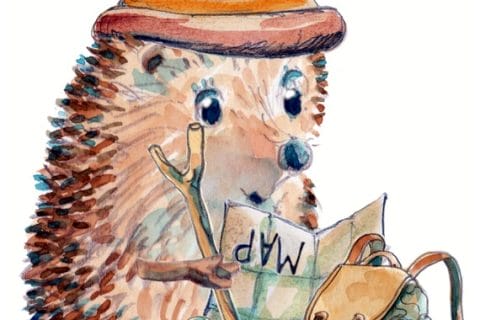 Cliquez pour zoomer ! Photo de naturailes