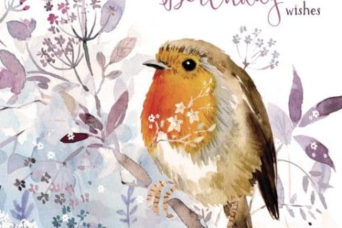 Cliquez pour zoomer ! Photo de naturailes