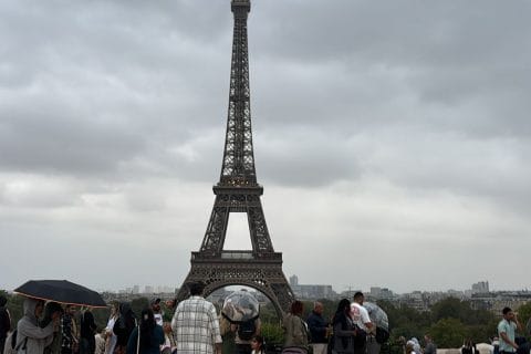 Cliquez pour zoomer ! Photo de naturailes