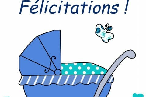 Cliquez pour zoomer ! Photo de naturailes