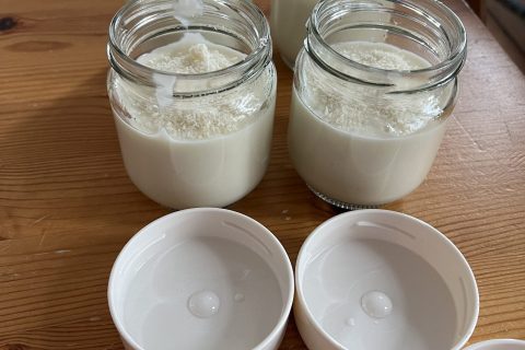 Cliquez pour zoomer ! Crème dessert à la noix de coco Thermomix par sophie_1280