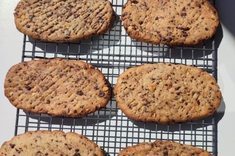 Cliquez pour zoomer ! Biscuits façon Belvita Thermomix par souwws