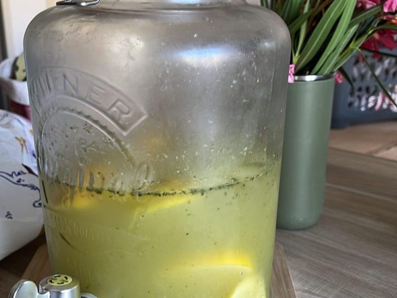 Cliquez pour zoomer ! Lemon mint Thermomix par MarionBlanc