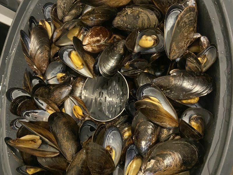 Cliquez pour zoomer ! Moules marinières Thermomix par MarionBlanc