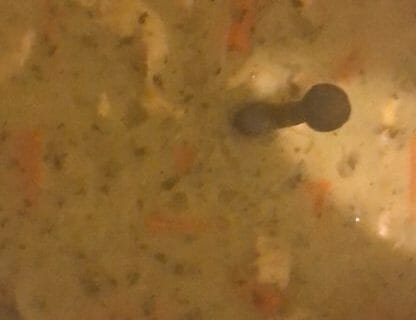 Cliquez pour zoomer ! Waterzooï de poulet Thermomix par lablondebelgebordelaise