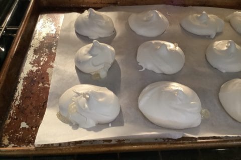 Cliquez pour zoomer ! Photo de lthibault01