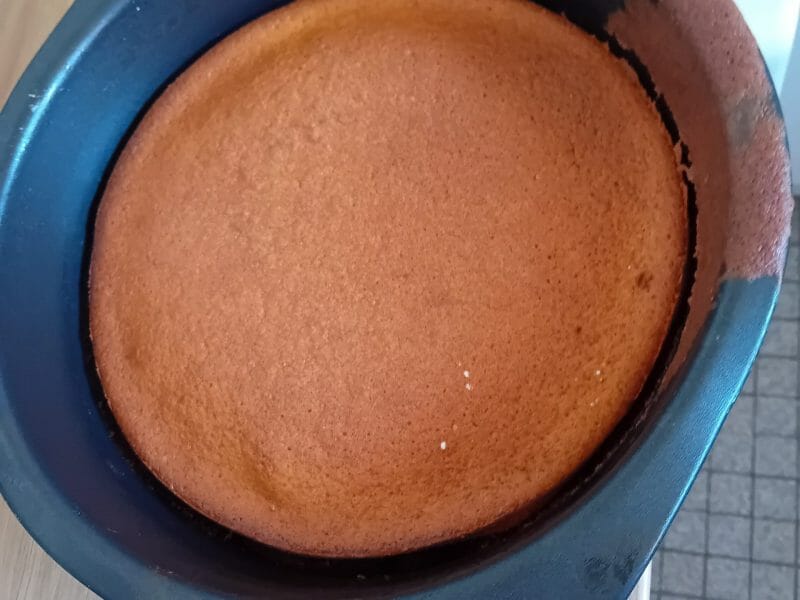 Cliquez pour zoomer ! Gâteau au yaourt Thermomix par Mael