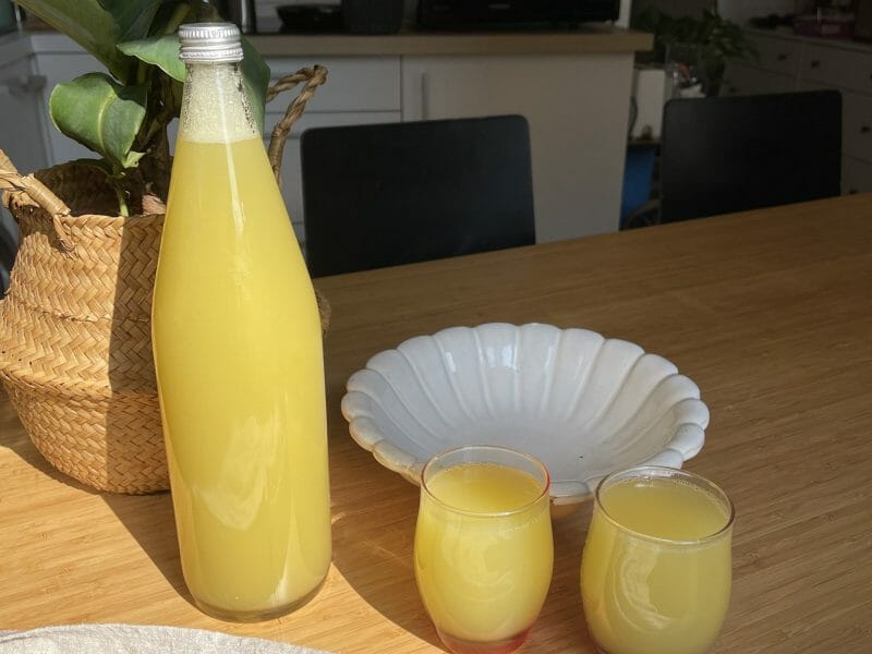 Cliquez pour zoomer ! Jus de pommes Thermomix par martin.tournebize