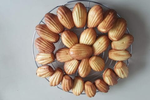 Cliquez pour zoomer ! Madeleines au Thermomix