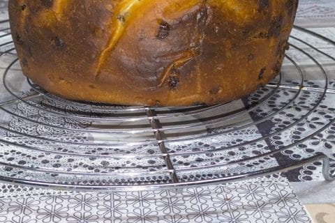 Cliquez pour zoomer ! Panettone Thermomix par steph_218