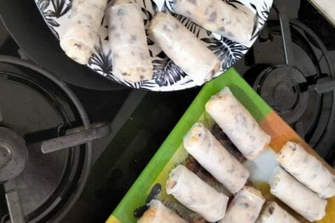 Cliquez pour zoomer ! Nems au poulet Thermomix par steph_218