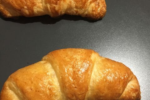 Cliquez pour zoomer ! IMG_7886