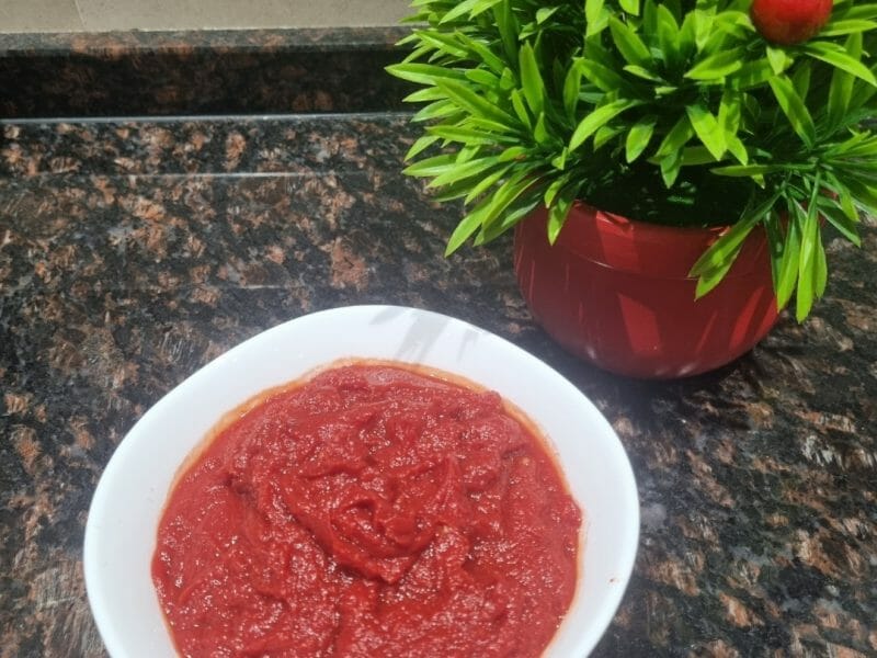 Cliquez pour zoomer ! Concentré de tomates Thermomix par meriemder