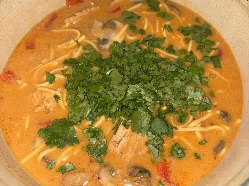 Cliquez pour zoomer ! Ramen thaï au poulet Thermomix par queenstone